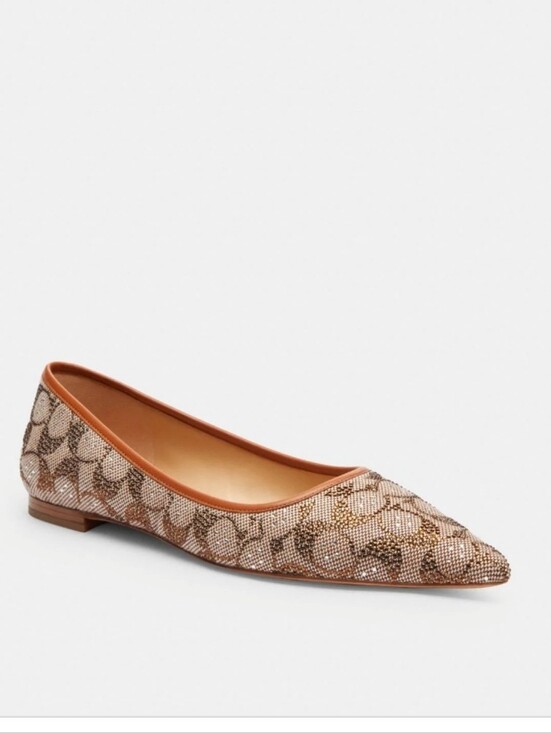 Coach Shoes - NEW Coach Daphne Flat In Crystal Signature Jacquard Shoe